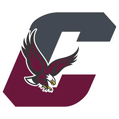 Chichester Eagles Football